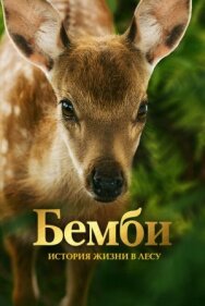 Постер к фильму Бемби. История жизни в лесу смотреть онлайн на HD Rezka