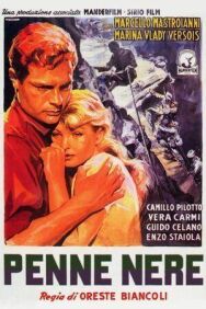 Постер к фильму Чёрные перья смотреть онлайн на HD Rezka
