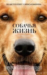 Постер к фильму Собачья жизнь смотреть онлайн на HD Rezka