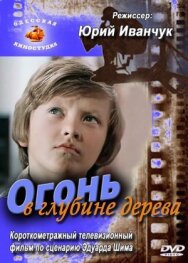 Постер к фильму Огонь в глубине дерева смотреть онлайн на HD Rezka