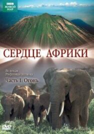 Постер к фильму BBC: Сердце Африки смотреть онлайн на HD Rezka