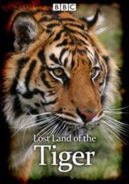Постер к фильму Lost Land of the Tiger смотреть онлайн на HD Rezka