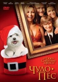 Постер к фильму Чудо-пес смотреть онлайн на HD Rezka