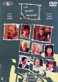 Постер к фильму Безумный, запутанный, нормальный смотреть онлайн на HD Rezka