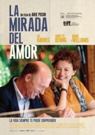 Постер к фильму Лицо любви смотреть онлайн на HD Rezka