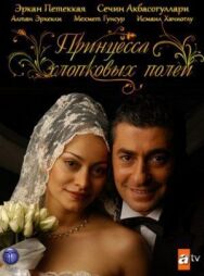 Постер к фильму Принцесса хлопковых полей смотреть онлайн на HD Rezka