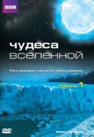 Постер к фильму Чудеса Вселенной смотреть онлайн на HD Rezka