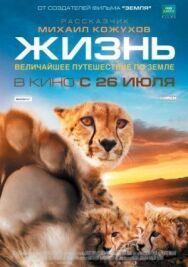 Постер к фильму Жизнь смотреть онлайн на HD Rezka