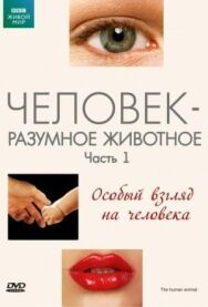 Постер к фильму BBC: Человек — разумное животное смотреть онлайн на HD Rezka