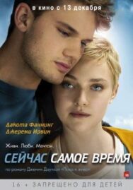 Постер к фильму Сейчас самое время смотреть онлайн на HD Rezka