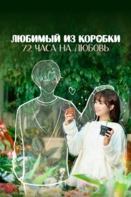 Постер к фильму Любимый из коробки: 72 часа на любовь смотреть онлайн на HD Rezka