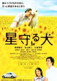 Постер к фильму Пёс, смотрящий на звезды смотреть онлайн на HD Rezka