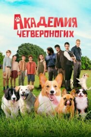 Постер к фильму Академия четвероногих смотреть онлайн на HD Rezka