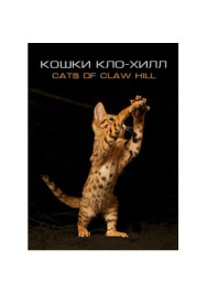 Постер к фильму Кошки Кло-Хилл смотреть онлайн на HD Rezka