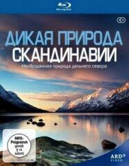 Постер к фильму Дикая природа Скандинавии смотреть онлайн на HD Rezka