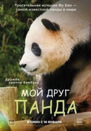Постер к фильму Мой друг панда смотреть онлайн на HD Rezka