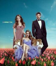 Постер к фильму Пора тюльпанов смотреть онлайн на HD Rezka