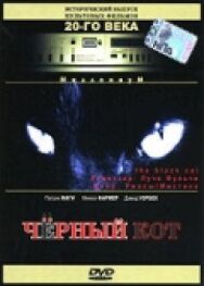 Постер к фильму Черный кот смотреть онлайн на HD Rezka