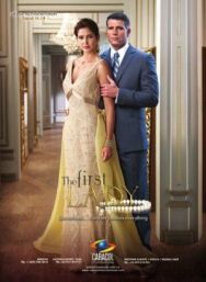 Постер к фильму Первая леди смотреть онлайн на HD Rezka
