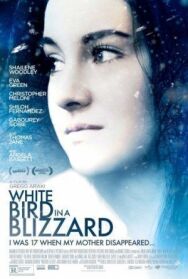 Постер к фильму Белая птица в метели смотреть онлайн на HD Rezka