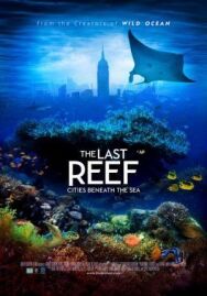 Постер к фильму Последний риф 3D смотреть онлайн на HD Rezka