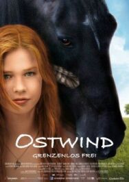 Постер к фильму Восточный ветер смотреть онлайн на HD Rezka