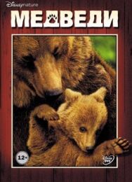 Постер к фильму Медведи смотреть онлайн на HD Rezka