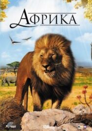 Постер к фильму Африка 3D смотреть онлайн на HD Rezka