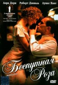 Постер к фильму Беспутная Роза смотреть онлайн на HD Rezka