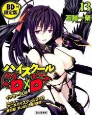 Постер к фильму Старшая школа DxD OVA смотреть онлайн на HD Rezka