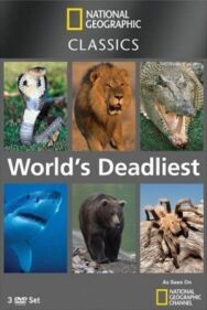Постер к фильму National Geographic: Самые опасные животные смотреть онлайн на HD Rezka