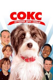 Постер к фильму Сокс. Лучший друг семьи смотреть онлайн на HD Rezka