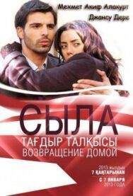 Постер к фильму Сыла. Возвращение домой смотреть онлайн на HD Rezka