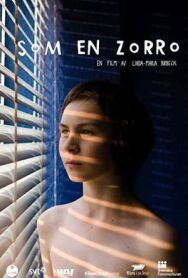 Постер к фильму Такой, как Зорро смотреть онлайн на HD Rezka