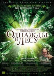 Постер к фильму Однажды в лесу смотреть онлайн на HD Rezka