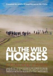 Постер к фильму All the Wild Horses смотреть онлайн на HD Rezka