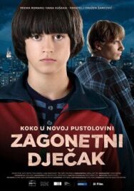 Постер к фильму Таинственный мальчик смотреть онлайн на HD Rezka