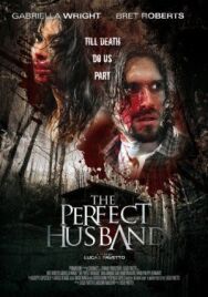 Постер к фильму Идеальный муж смотреть онлайн на HD Rezka