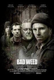 Постер к фильму Последний урожай смотреть онлайн на HD Rezka