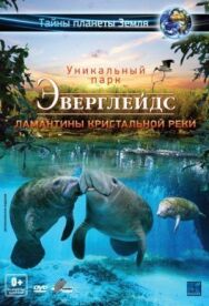Постер к фильму Эверглейдс 3D: Ламантины Кристальной реки смотреть онлайн на HD Rezka
