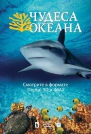 Постер к фильму Чудеса океана 3D смотреть онлайн на HD Rezka
