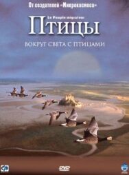 Постер к фильму Птицы смотреть онлайн на HD Rezka