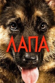 Постер к фильму Лапа смотреть онлайн на HD Rezka