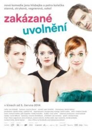 Постер к фильму Запретное расслабление смотреть онлайн на HD Rezka