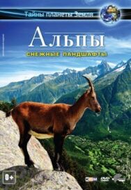 Постер к фильму Альпы 3D: Снежные ландшафты смотреть онлайн на HD Rezka