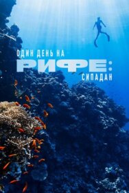 Постер к фильму Один день на рифе: Сипадан смотреть онлайн на HD Rezka