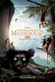 Постер к фильму Остров лемуров: Мадагаскар смотреть онлайн на HD Rezka