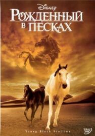 Постер к фильму Рожденный в песках смотреть онлайн на HD Rezka