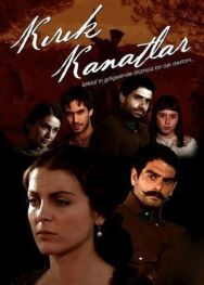Постер к фильму Сломанные крылья смотреть онлайн на HD Rezka