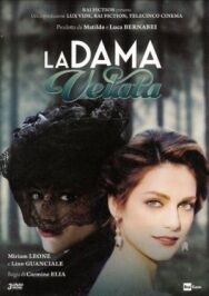 Постер к фильму Дама под вуалью смотреть онлайн на HD Rezka